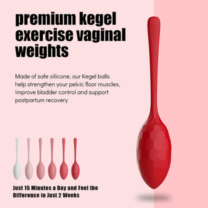 Premium Kegel Exercise Vaginal Weights - FEMY Wellness