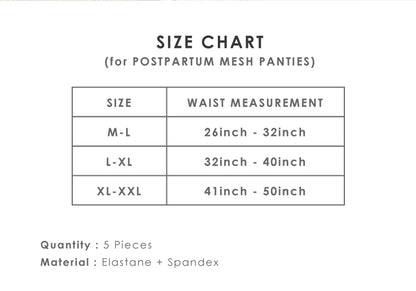Postpartum Mesh Panties (5 pcs) - FEMY Wellness